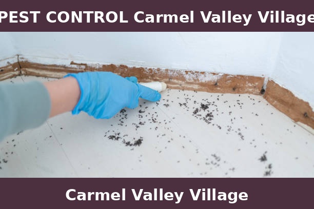 PEST CONTROL Carmel Valley Village